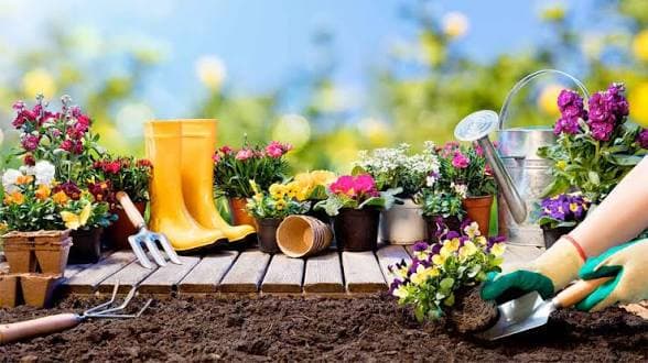 Concurso jardinería 🌼🌺🌼🌺🌺🌼 2