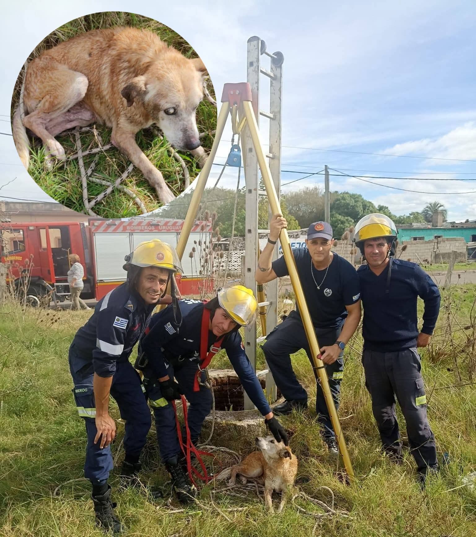 BOMBEROS RESCATARON UN PERRO QUE CAYÓ A UN POZO MUY PROFUNDO
